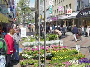 Gelsenkirchen Germany 2006